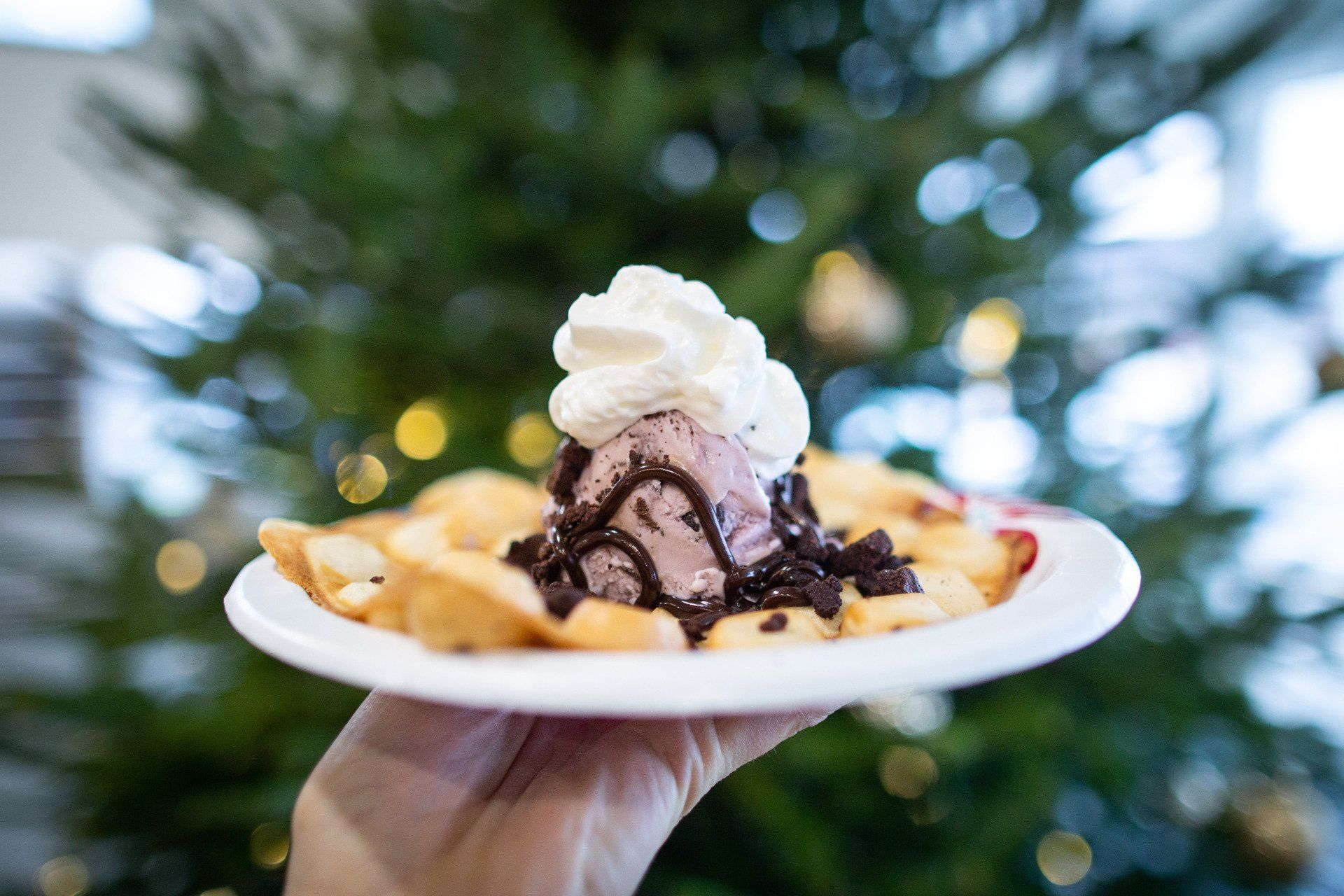 Sugar Bowl Ice Cream & More, Decorah + Fayette Iowa