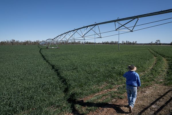 Dive into the latest trends and forecasts shaping the agricultural property market in 2024 west of Toowoomba, offering invaluable insights for large farming enterprises