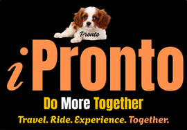 Pronto Journeys - Make Every Journey Memorable.