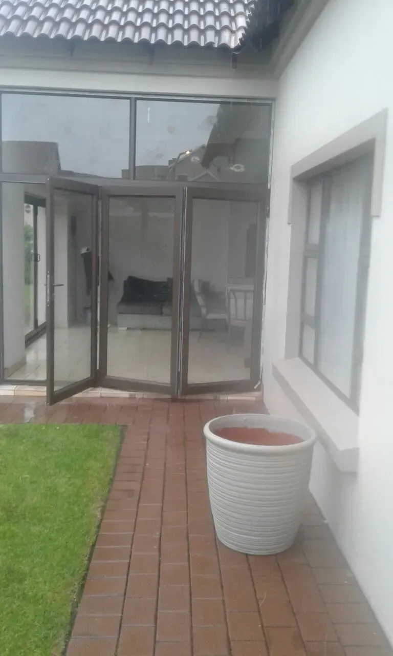 A potted plant is sitting on the sidewalk in front of a house.
