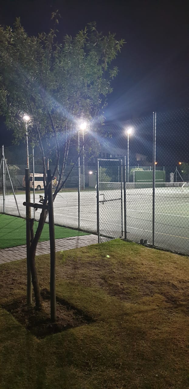 A tennis court is lit up at night with a tree in the foreground.