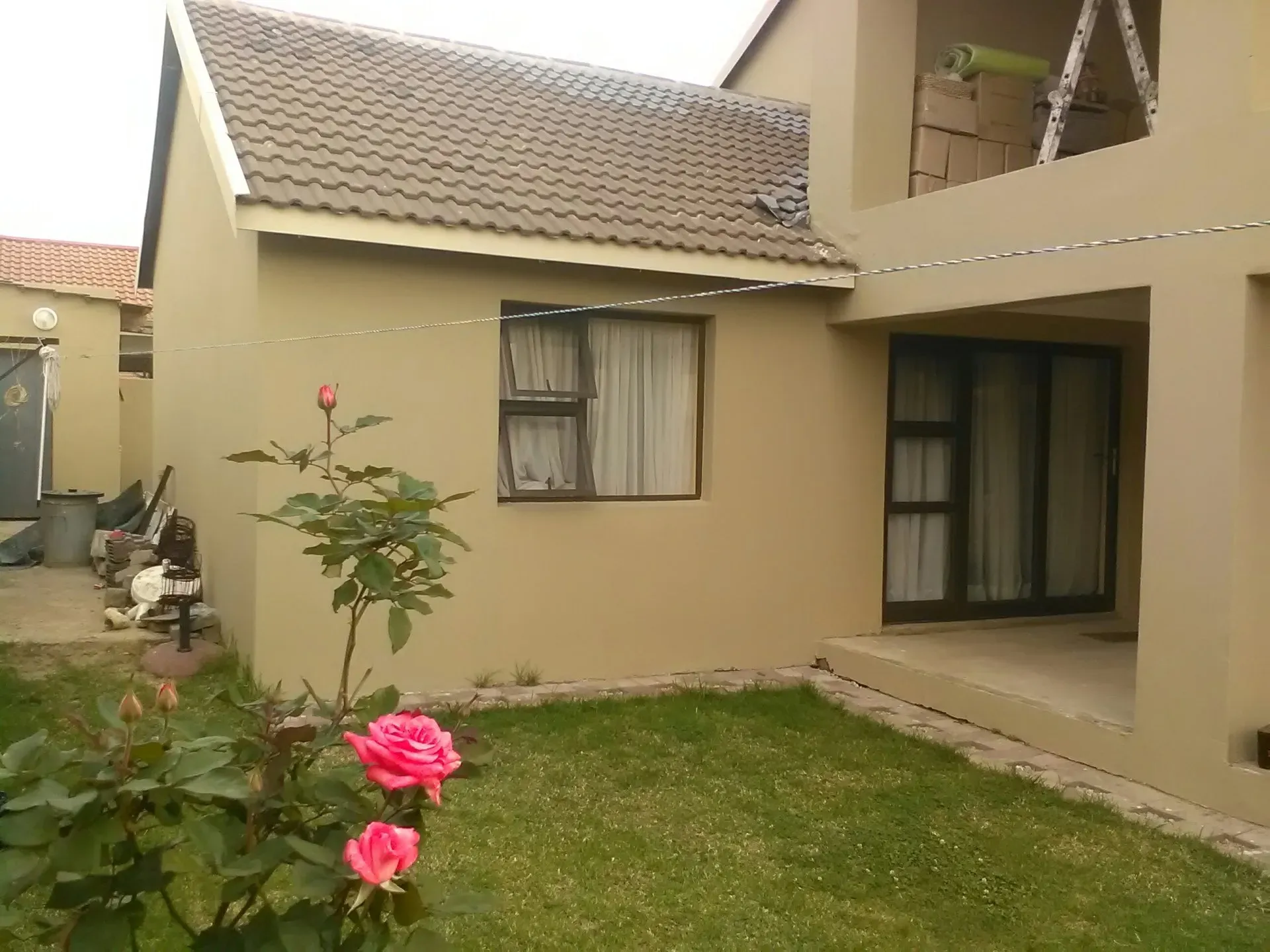 A house with a pink rose in front of it