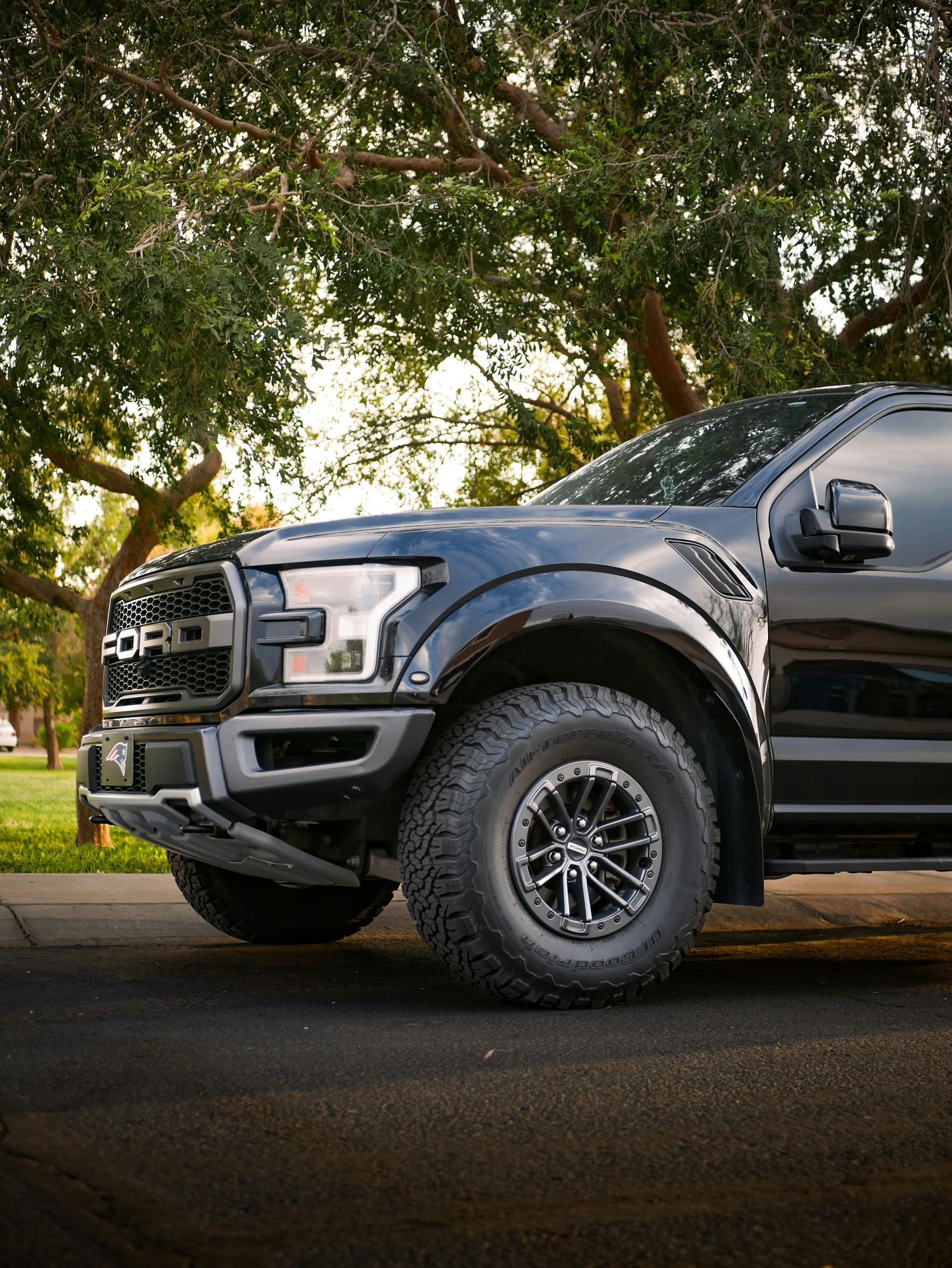 Black Ford Raptor truck parked on asphalt with trees in background. - Auto Electrics QLD in Woombye, QLD