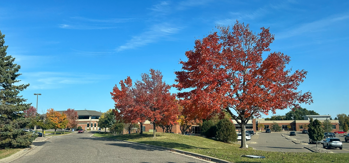 Red autumn trees frame a building against a bright blue sky.