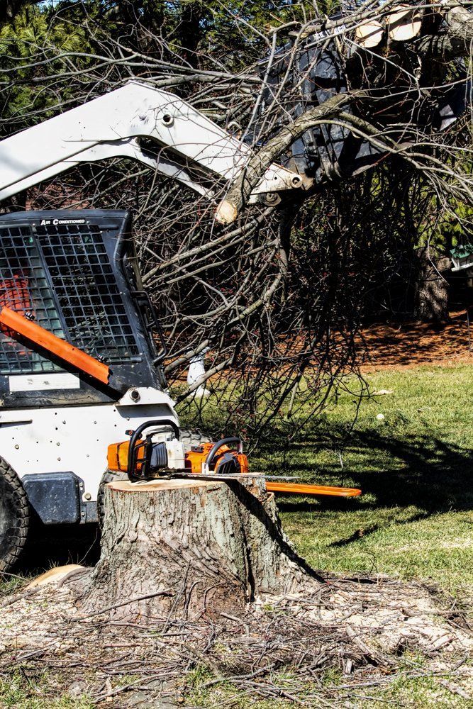 Emergency Tree Service