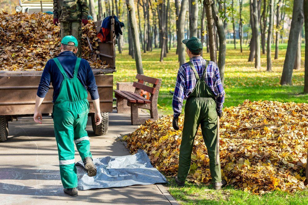 Land Clearing and Grading