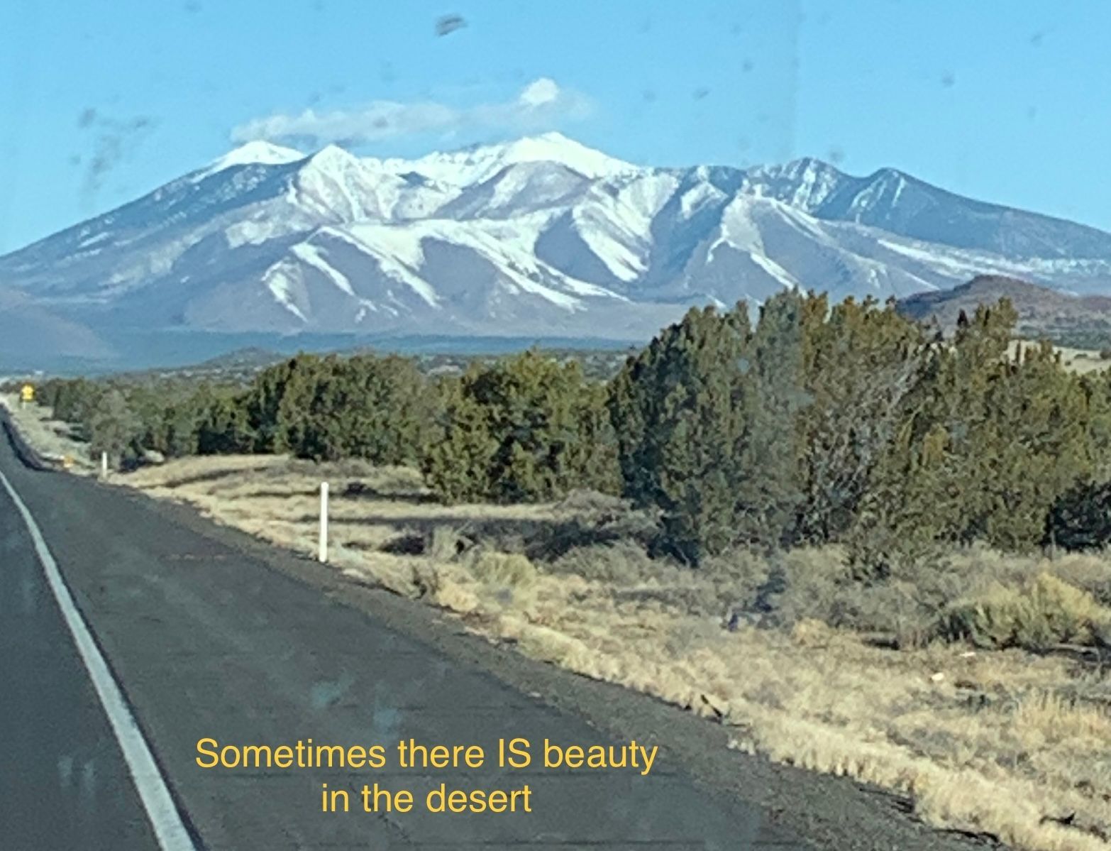 A road with a mountain in the background and a quote that says sometimes there is beauty in the desert
