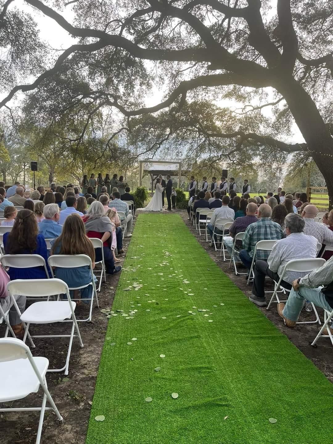 Wedding. beautiful green walk and overhanging trees