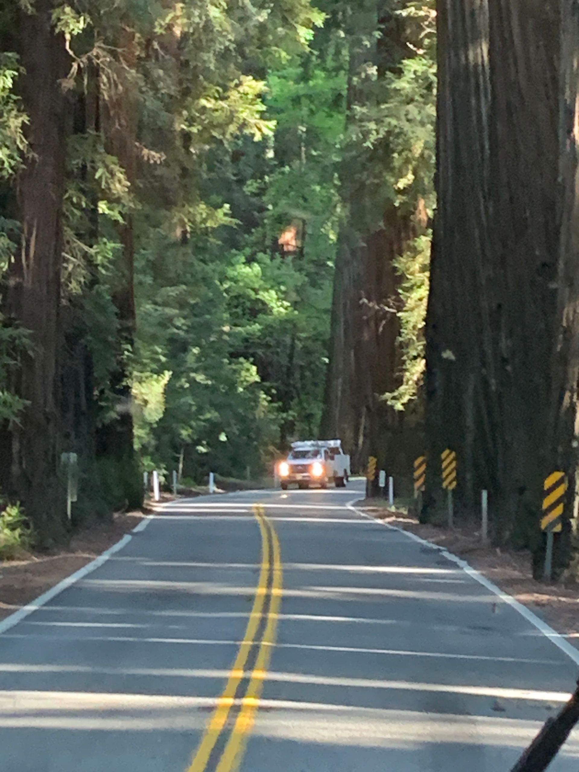 A car is driving down a road surrounded by trees
