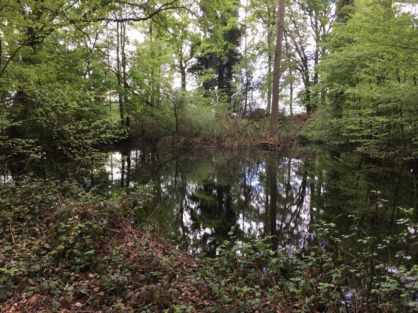 Ausflüge mit Mindestabstand:  Kloster Marienfeld und das Hühnermoor