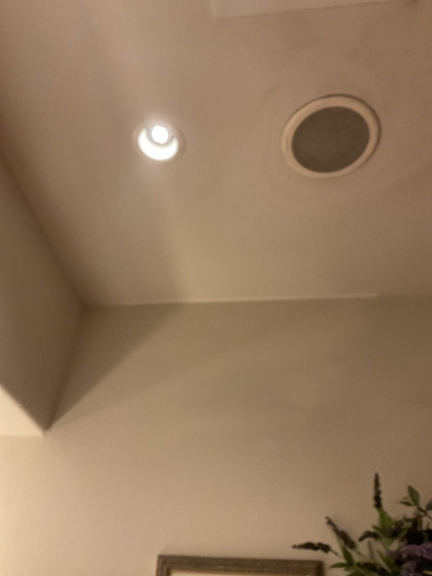 Ceiling with a recessed light and speaker, with a wall and a glimpse of decor below.
