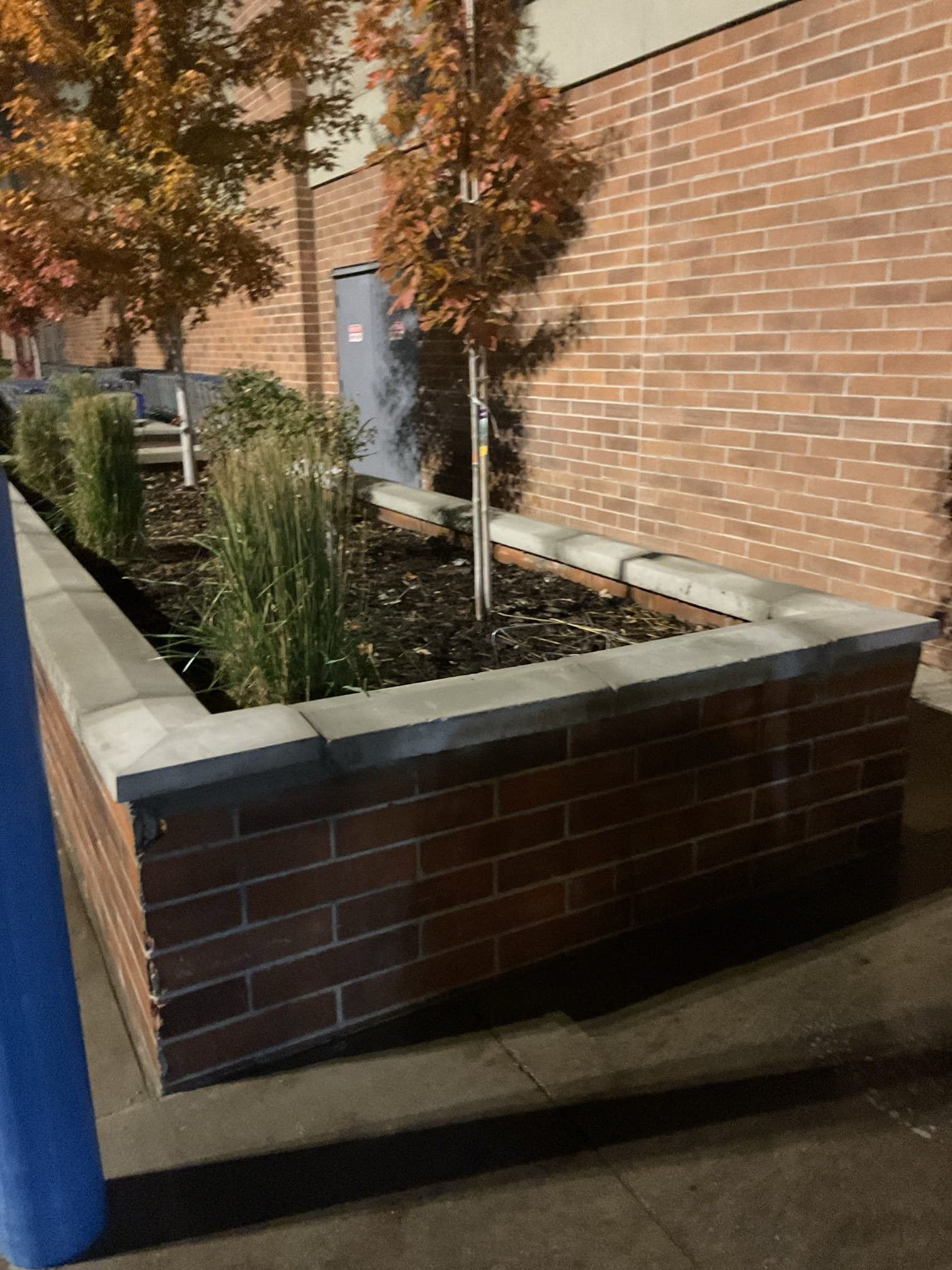 Concrete retaining wall with cracks next to a row of shopping carts and a brick base.