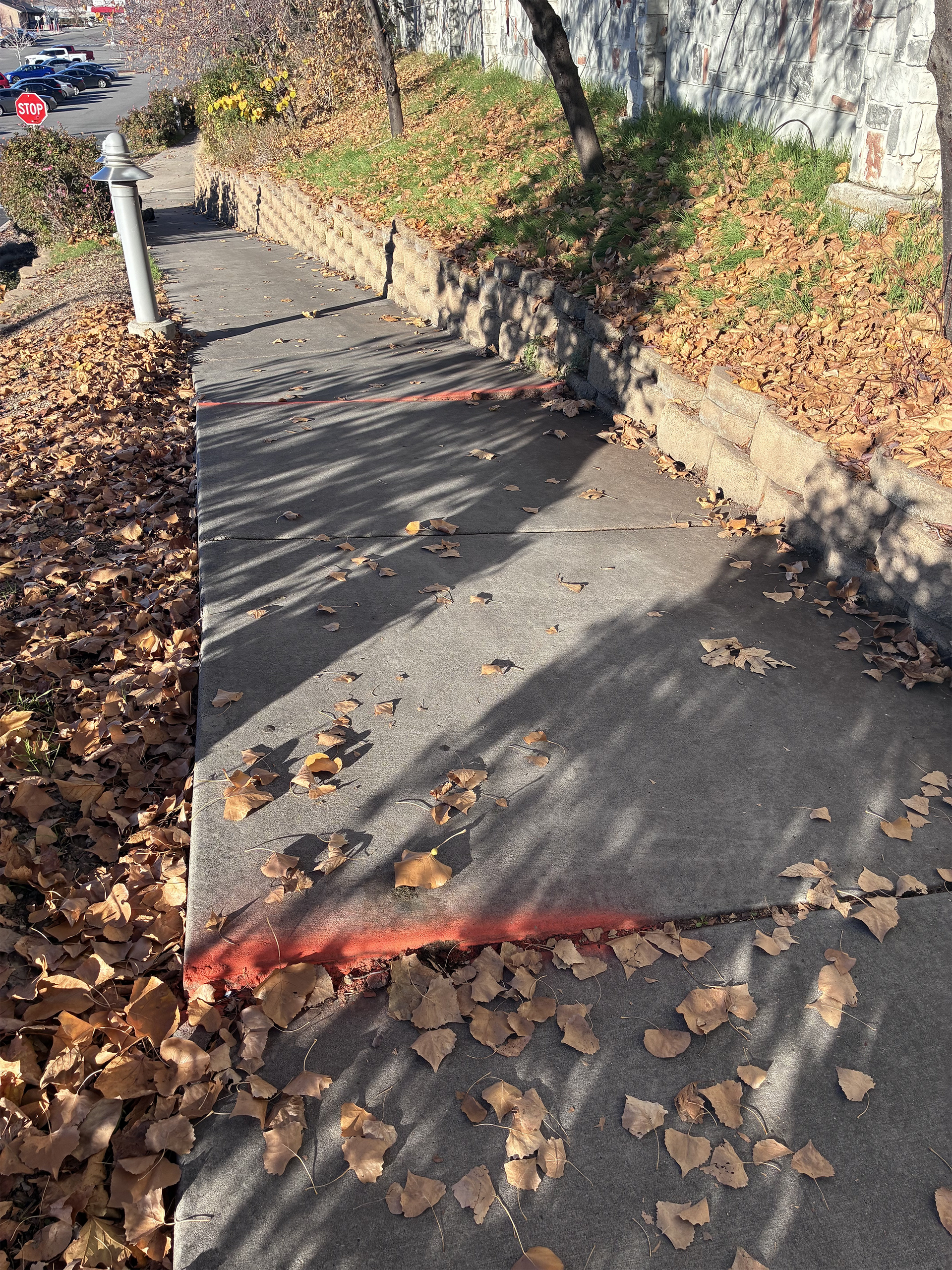 Concrete sidewalk with orange spray paint marking a crack, covered in fallen leaves.
