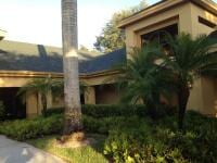 Beautiful House — Ivory Paint House With Tree  in Myers, FL