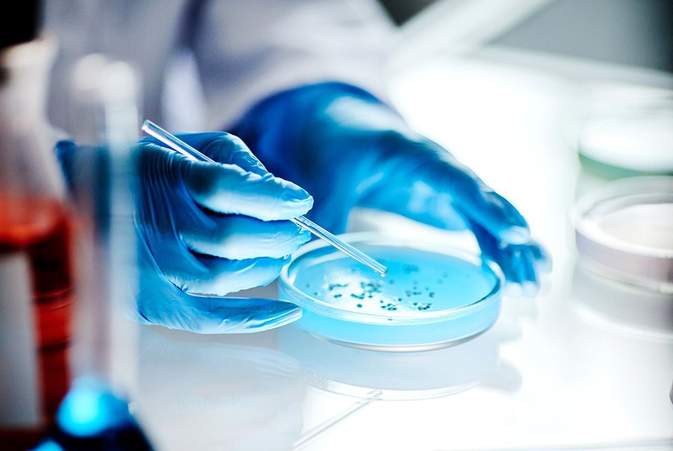 LABORATORIO CONFAR - Challenge test y evaluación de protección antimicrobiana – ISO 11930