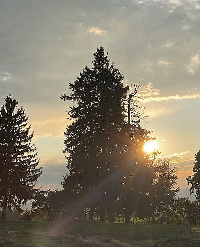 Sonnenaufgang, Praxis für Psychotherapie Linda Giselbrecht Dornbirn