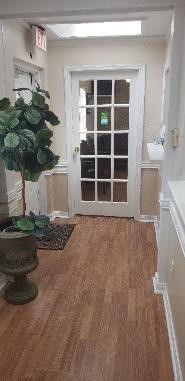 Hallway with a tall potted plant next to a wall, with a white wooden door at its end.