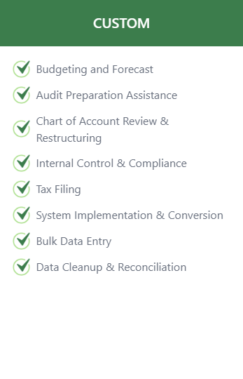 Green list with checked items: Budgeting, Audit, Chart of Account Review, Internal Control, Tax Filing, System Implementation, Data Entry, and Reconciliation.