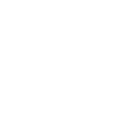 Secure icon