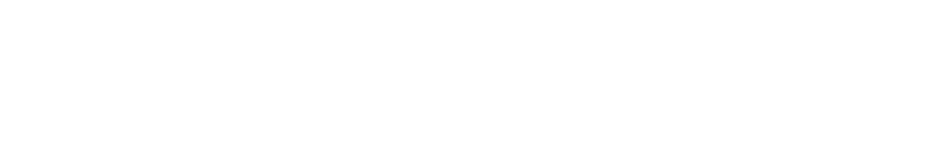 Aouad Associates LLC Logo
