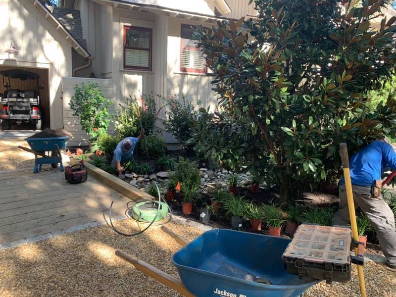 Workers planting in a landscaped garden bed next to a house, with wheelbarrows and tools visible.