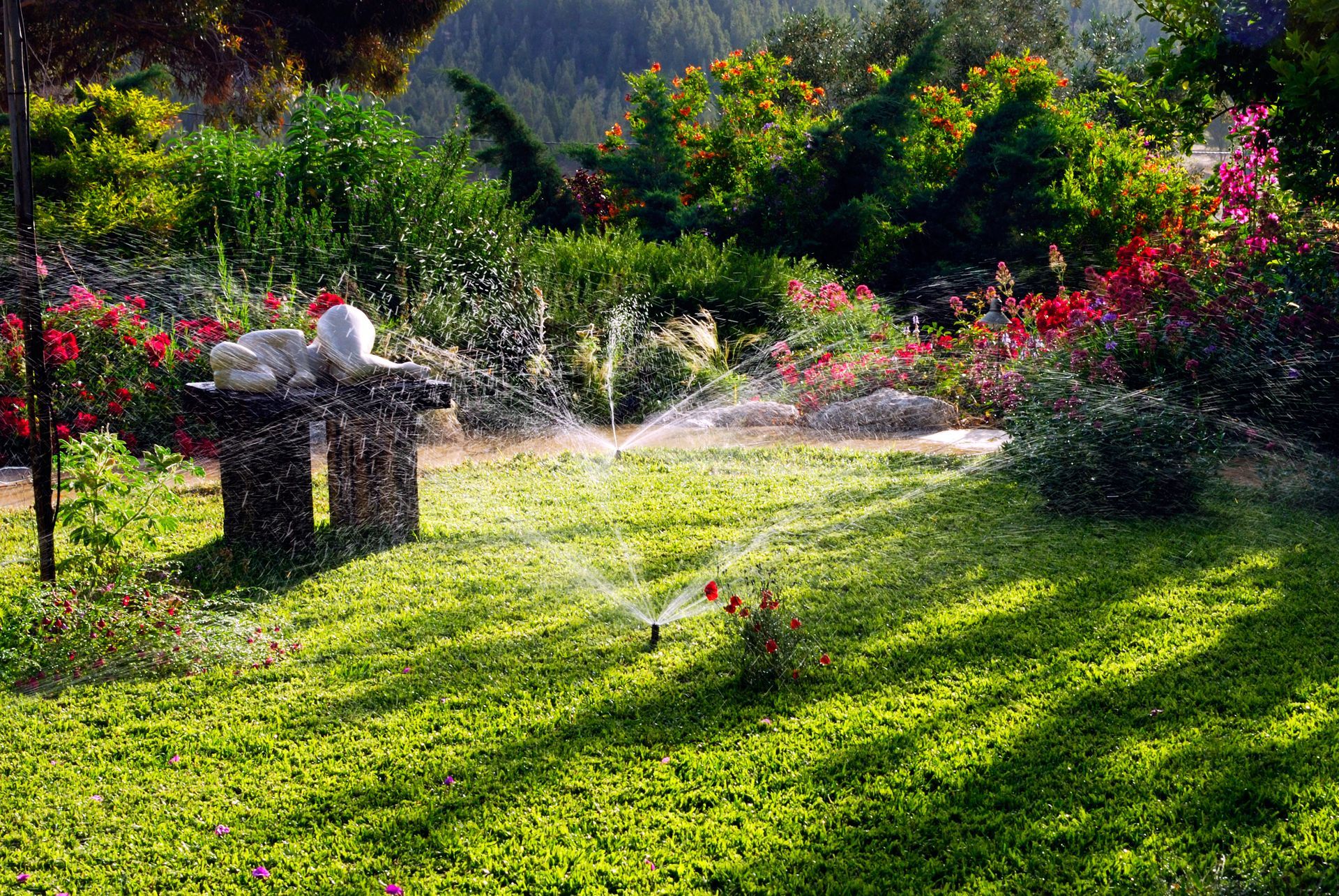 Lush green garden with sprinklers watering the lawn, flowers and shrubs in the background.