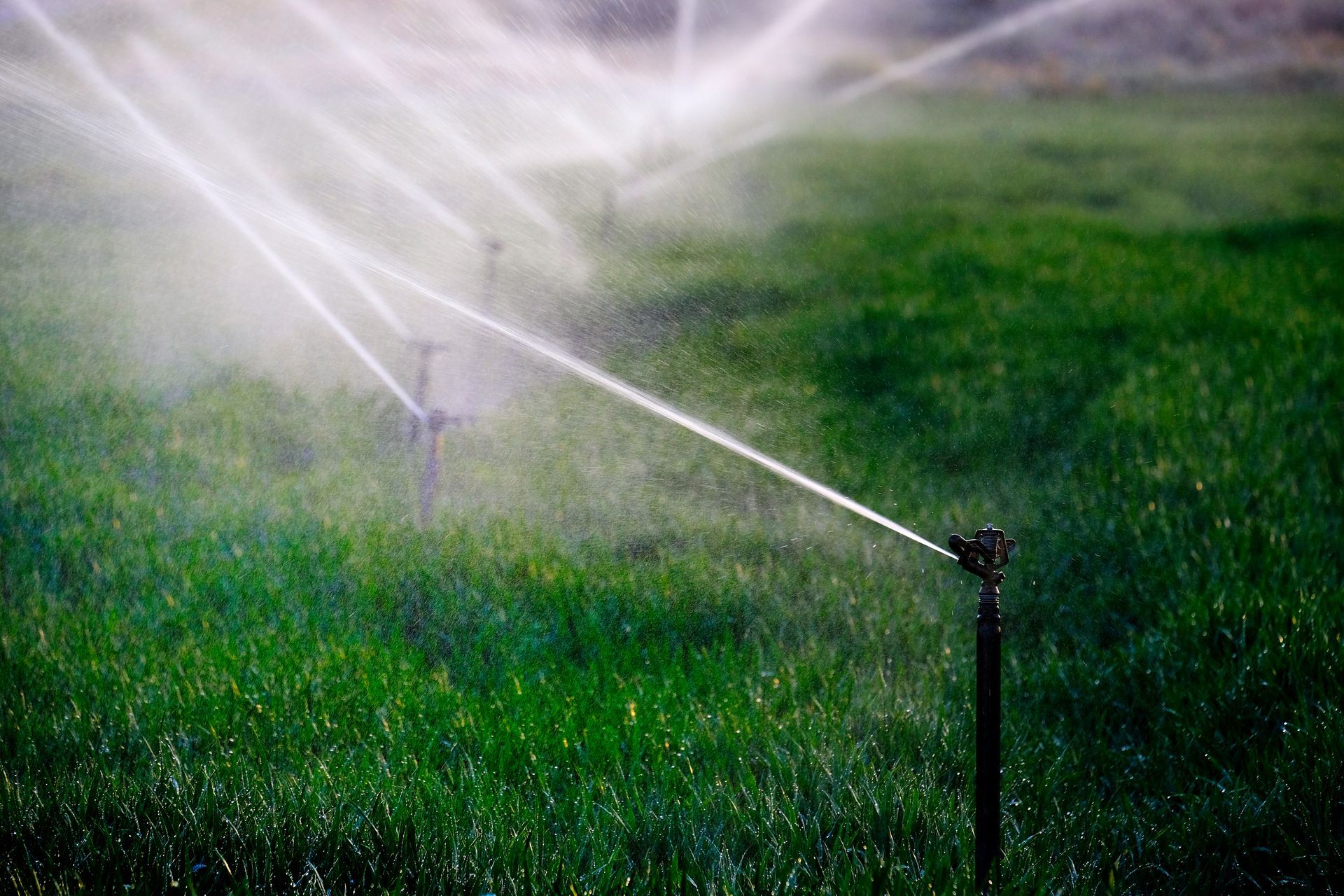 Sprinklers watering a lush green lawn, water spraying across the grass.