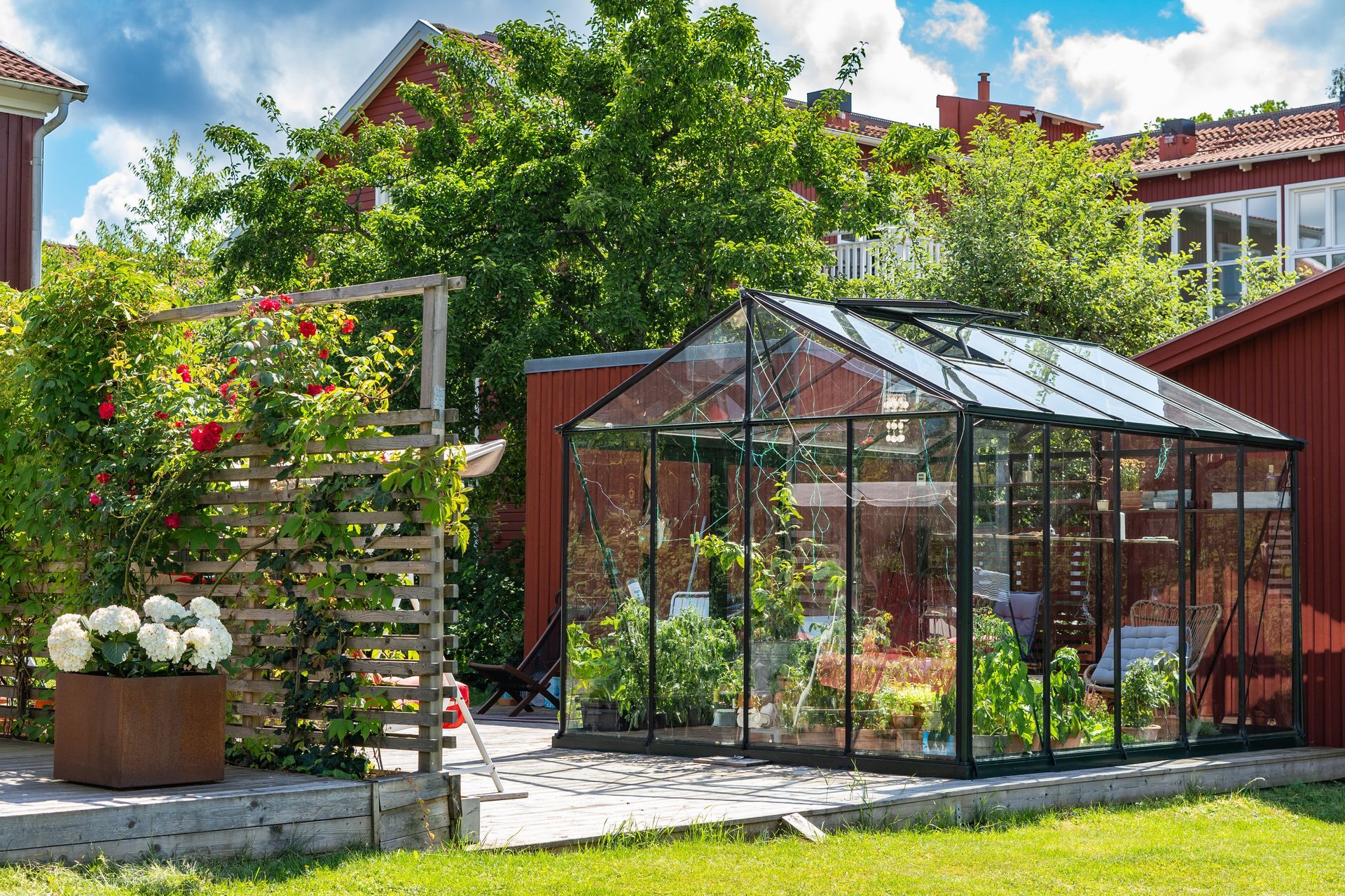 Greenhouse and garden with lush greenery, climbing roses, and red buildings.