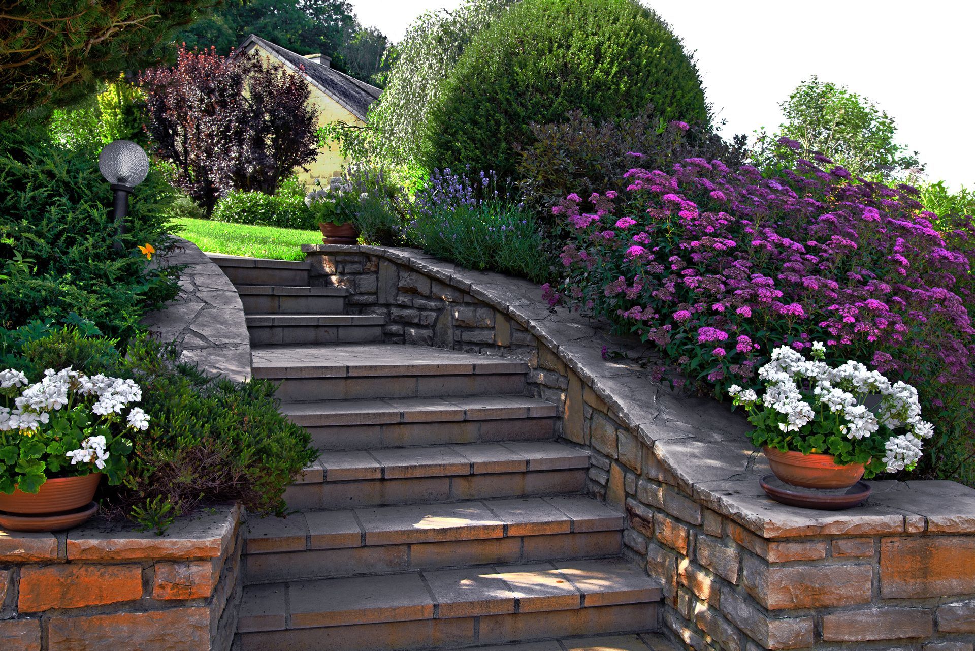 Stone stairs in a lush garden with flowering bushes and potted plants leading up to a house.