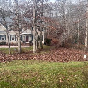 Suburban house behind bare trees and a leaf-covered yard in late fall