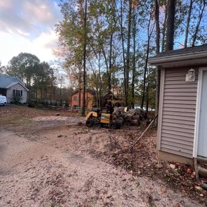 Backyard with small yellow tractor, woodpile, and trees beside a house at dusk