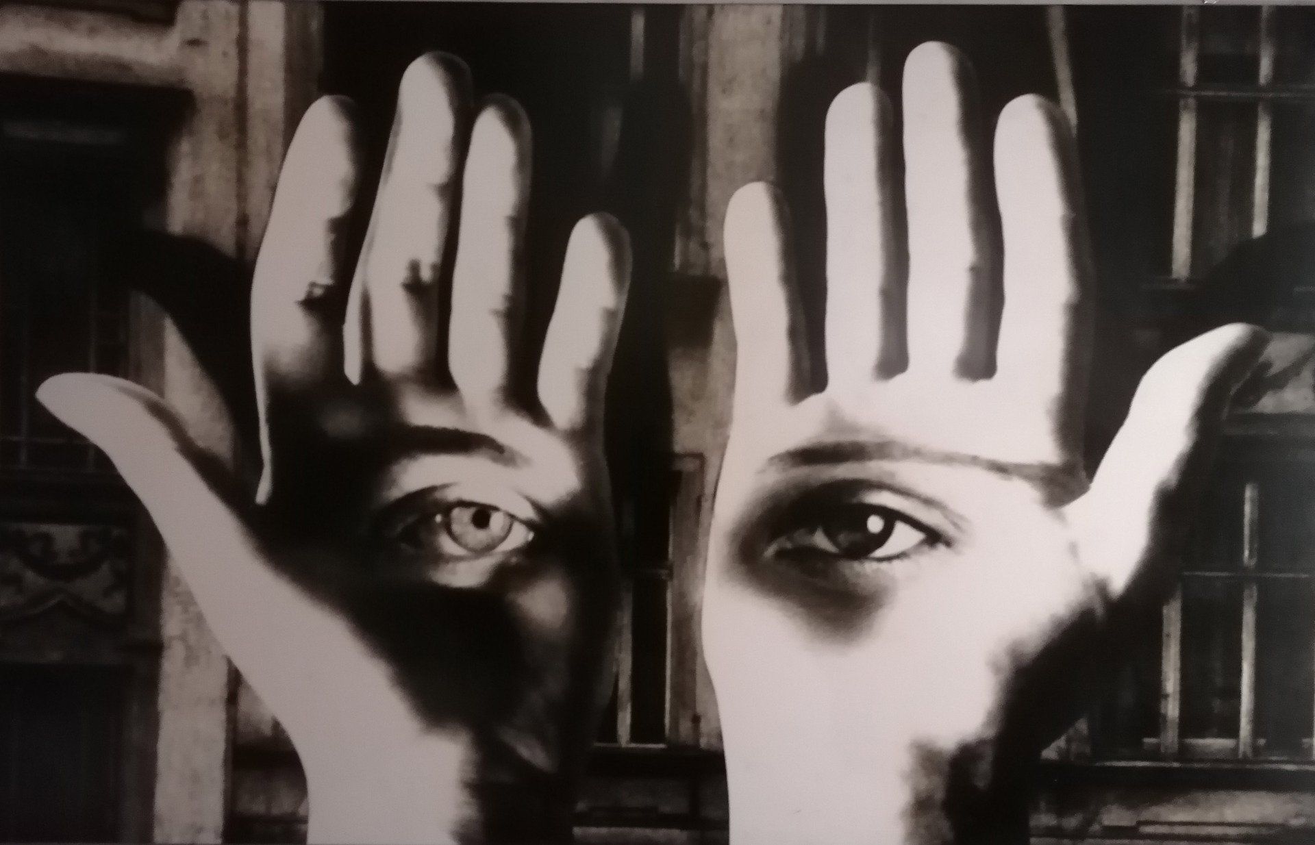 Polyottica - Bologna