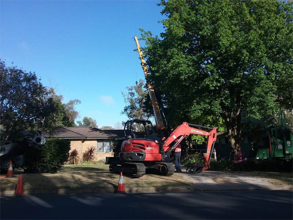 Excavator On The Site — Southern Highlands, NSW — Above All Arbor