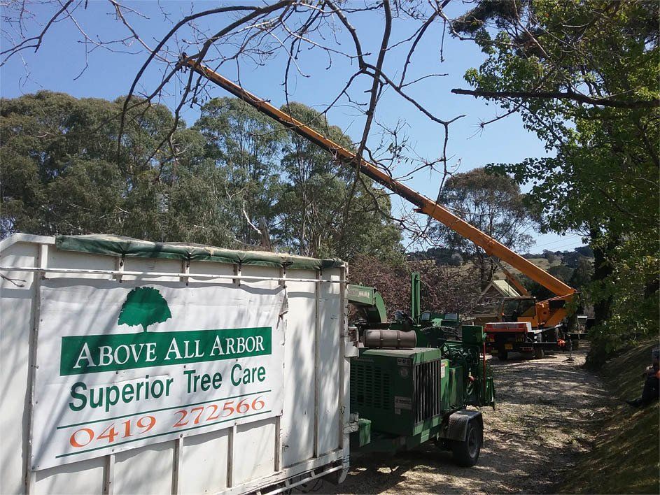 Trucks Used For Tree Services — Southern Highlands, NSW — Above All Arbor