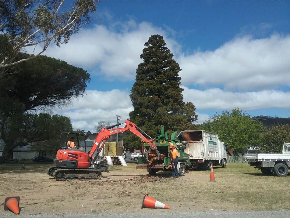Clearing The Lot — Southern Highlands, NSW — Above All Arbor
