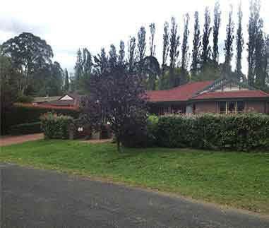 Empty Lot Beside The Road — Southern Highlands, NSW — Above All Arbor