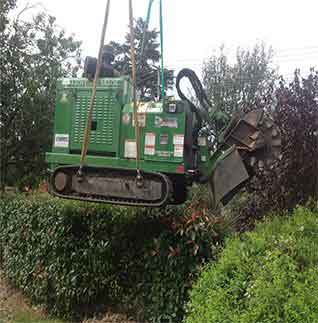 Machine For Stump Grinding — Southern Highlands, NSW — Above All Arbor