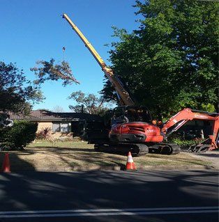 Bucket Truck For Tall Trees — Southern Highlands, NSW — Above All Arbor