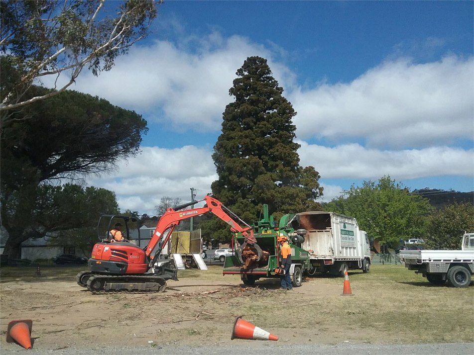Clearing The Land — Southern Highlands, NSW — Above All Arbor