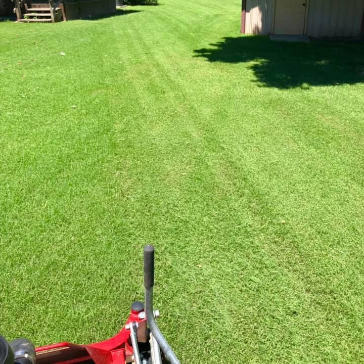 A red lawn mower is cutting a lush green lawn.