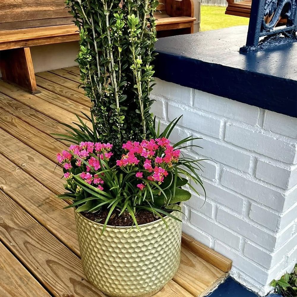 A potted plant with pink flowers is sitting on a wooden table.