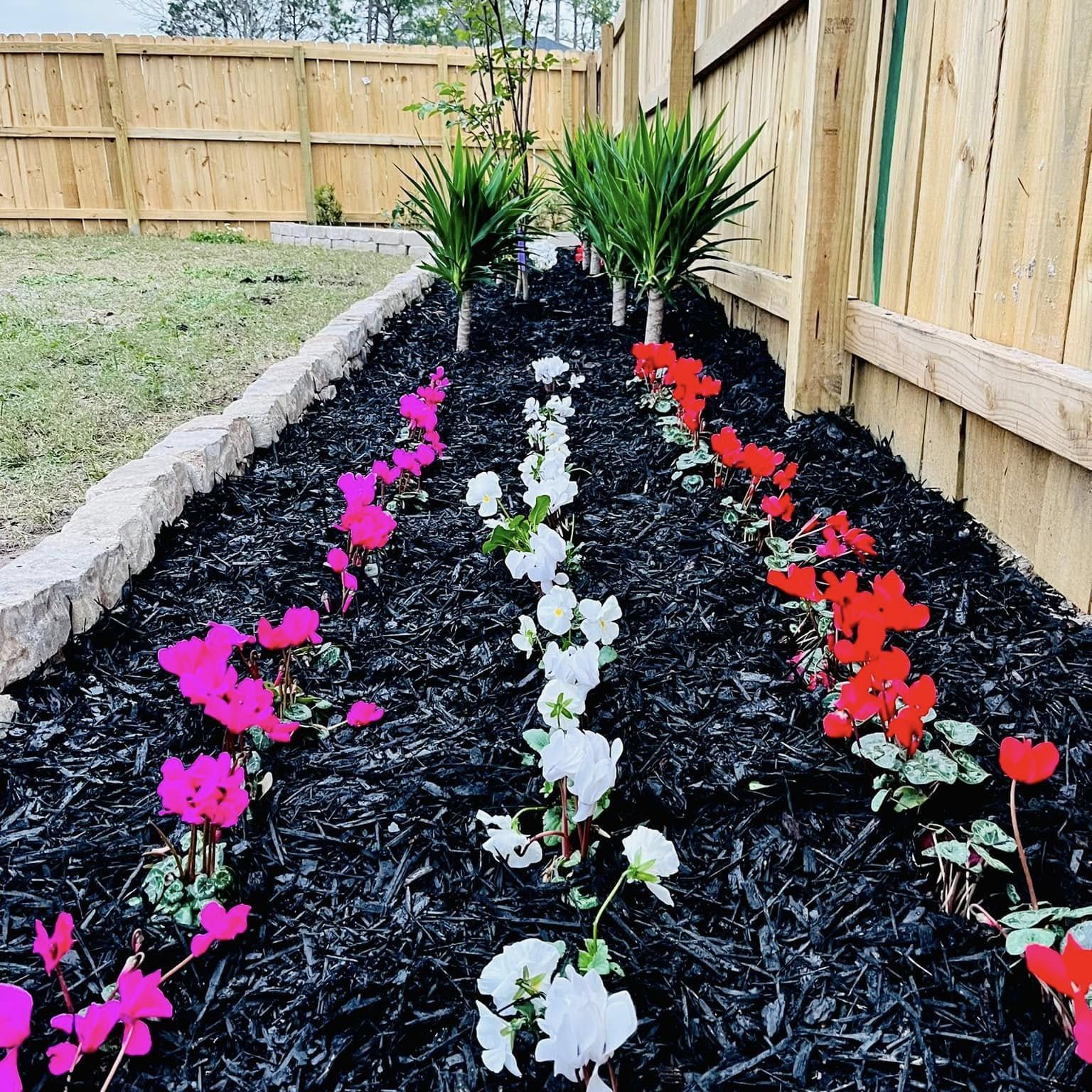A row of flowers in a garden with a wooden fence in the background