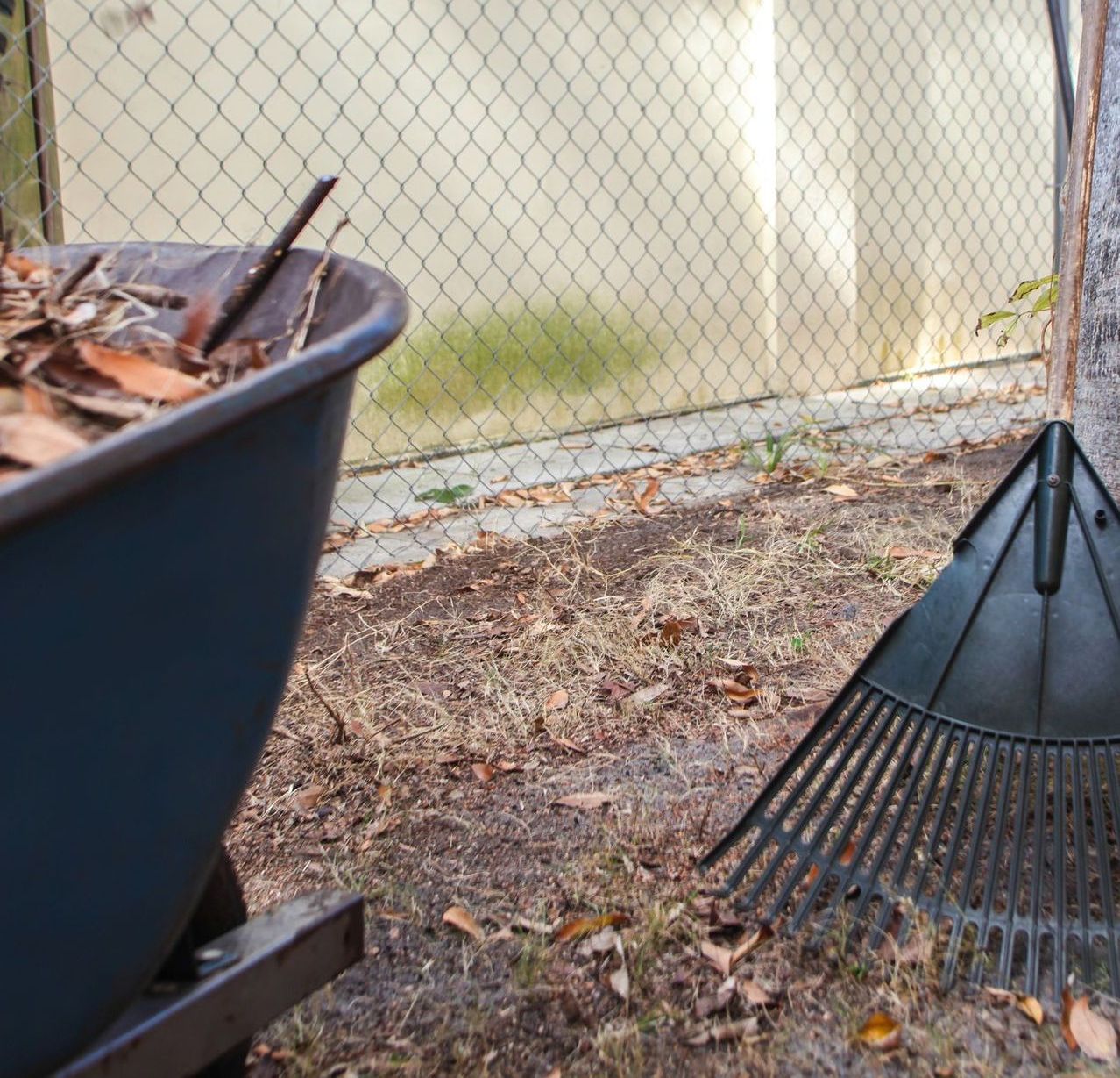 A wheelbarrow full of leaves next to a rake
