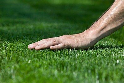 Lush Lawn — Lawn Care in Xenia, OH