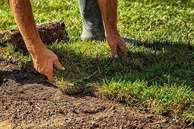 Sod Installation — Lawn Care in Xenia, OH