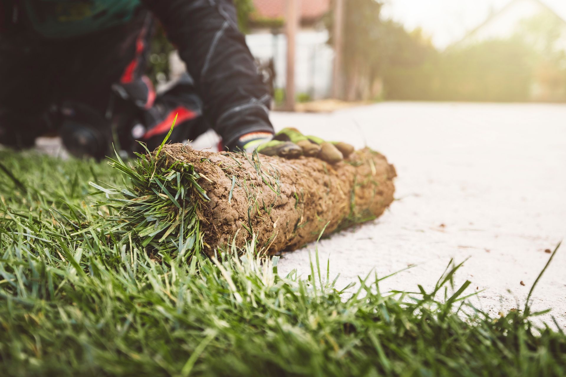 Person wearing gloves unrolls sod onto prepared ground with grass visible in the foreground.