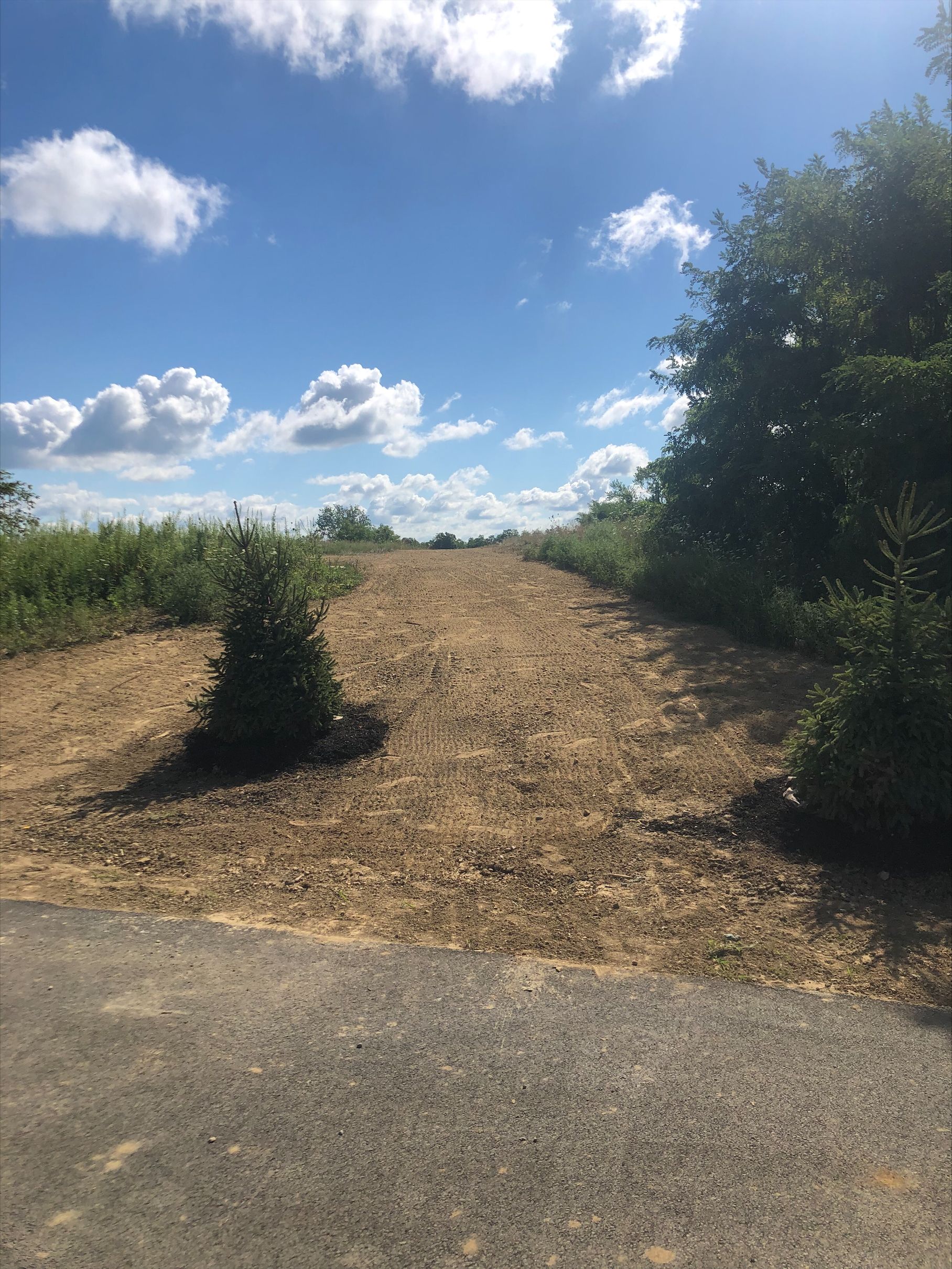 Home Xenia, OH Gerdes Turf Farms