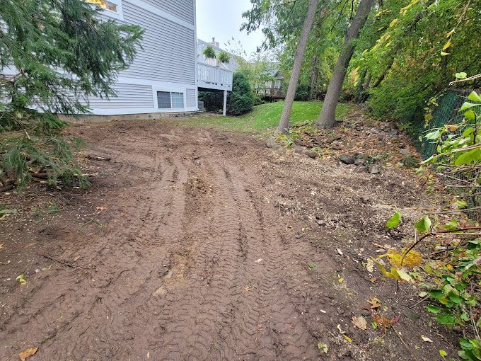 A dirt road leading to a house with trees in the background.