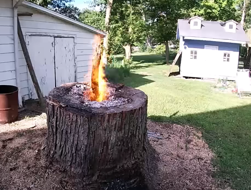 stump removal diy