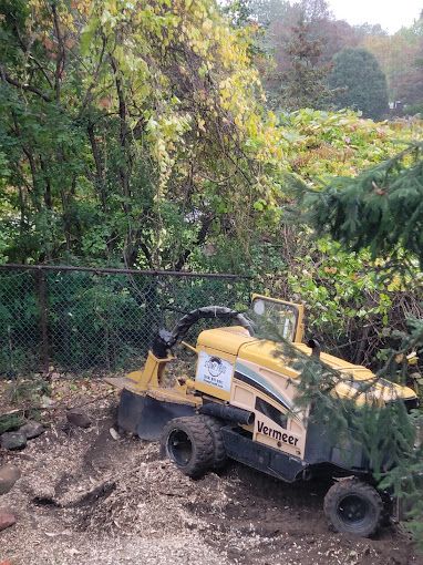 A yellow tractor is cutting a tree stump in the woods.